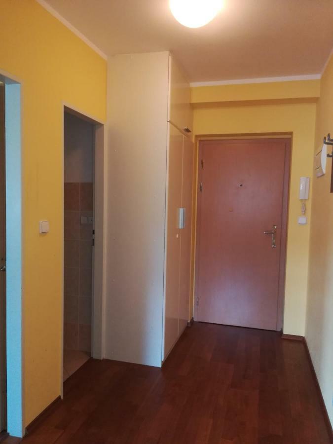 Apartments Rokytka 308 & 405 Рокитніце-над-Їзероу Екстер'єр фото